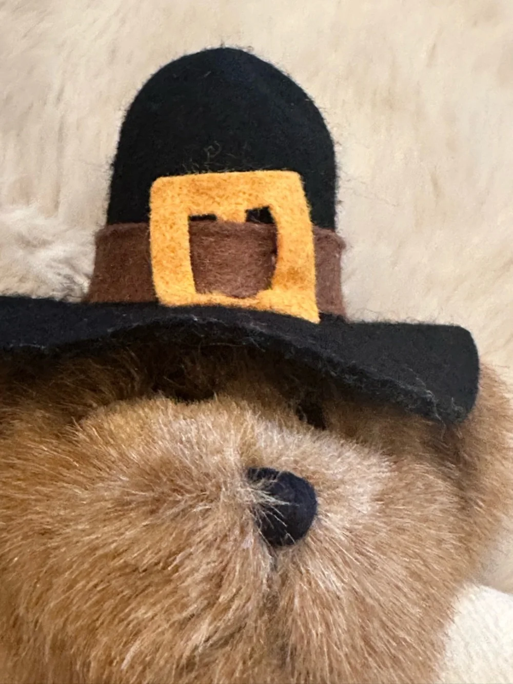 Boyd’s Bear - Picture 8 of 11